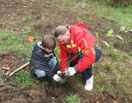 Volunteer